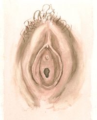 vulva.jpg